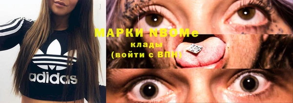 стаф Володарск