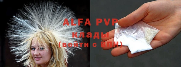 стаф Володарск
