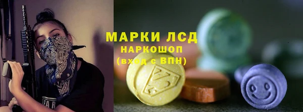 стаф Володарск
