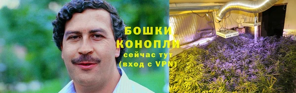 ECSTASY Волоколамск